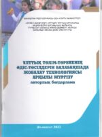 Реализация национальных методов воспитания в детском саду через технологии проектирования